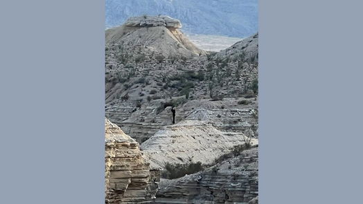 Study Butte-Terlingua null-story, null-bed 0100 Needle Peek Road-idx