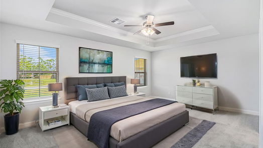 Angleton null-story, 4-bed 7 Greystone Court-idx