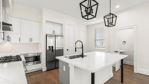 Houston 3-story, 3-bed 1810 Palmetto Landing Court-idx