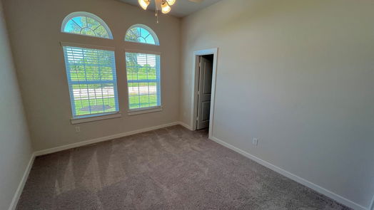 Angleton 1-story, 3-bed 1585 Elm Court-idx