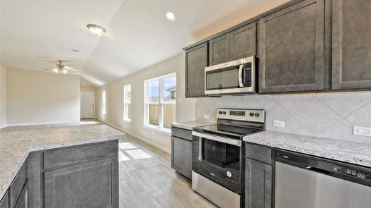 Conroe 1-story, 3-bed 17784 Lionheart Road-idx
