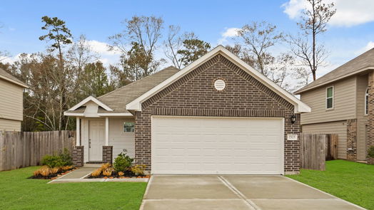 Conroe 1-story, 3-bed 17825 Lionheart Road-idx
