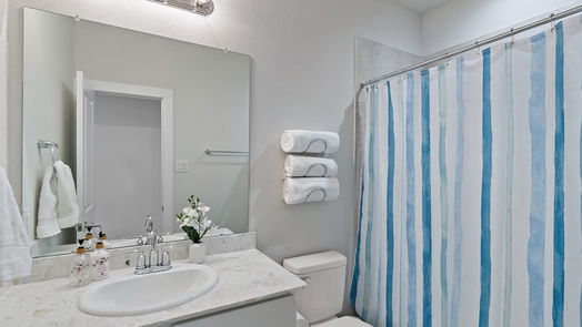 Montgomery 1-story, 4-bed 200 Racetrack Lane-idx