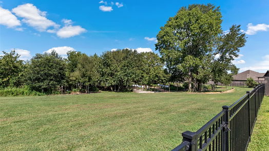 Montgomery 1-story, 4-bed 200 Racetrack Lane-idx