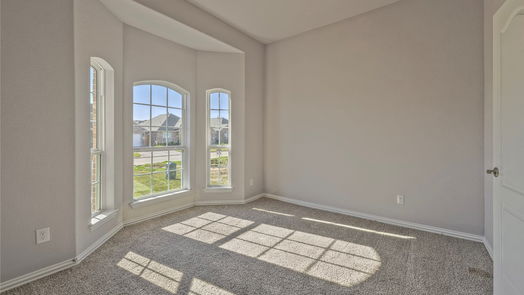 Texas City 1-story, 4-bed 13306 Sea Breeze Drive-idx