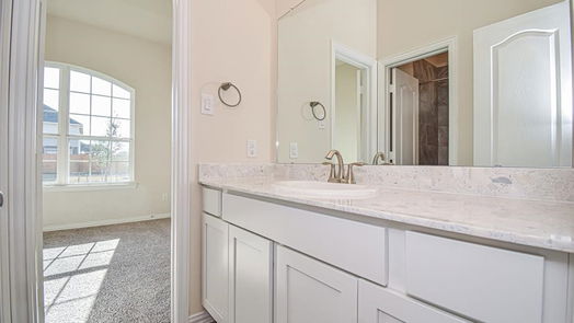 Texas City 1-story, 3-bed 2605 Village Azalea Drive-idx