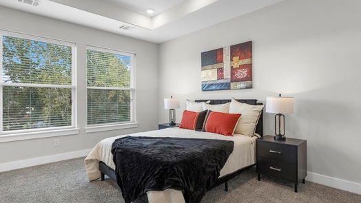 Houston 3-story, 3-bed 1604 Malvern Street-idx