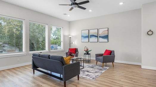 Houston 3-story, 3-bed 1606 Malvern Street-idx