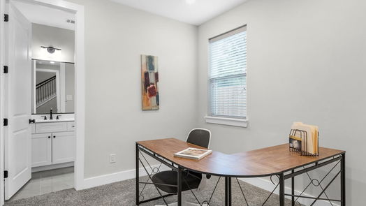 Houston 3-story, 3-bed 1606 Malvern Street-idx