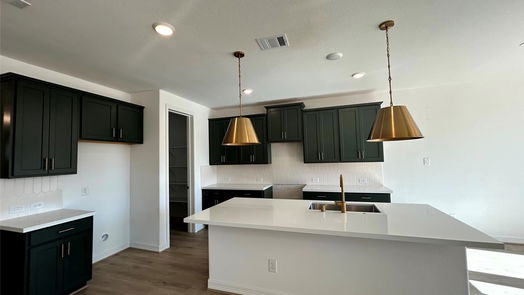 Hockley 2-story, 4-bed 32015 Meadowlake Mews Lane-idx