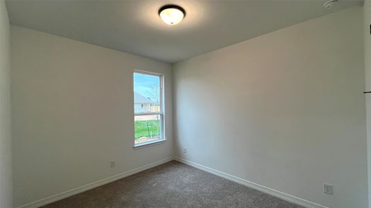 Hockley 1-story, 3-bed 17538 Tulip Willow Way-idx