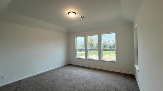 Hockley 1-story, 3-bed 17538 Tulip Willow Way-idx