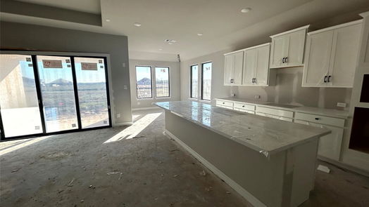League City 1-story, 4-bed 3137 Wickfield Pass Lane-idx