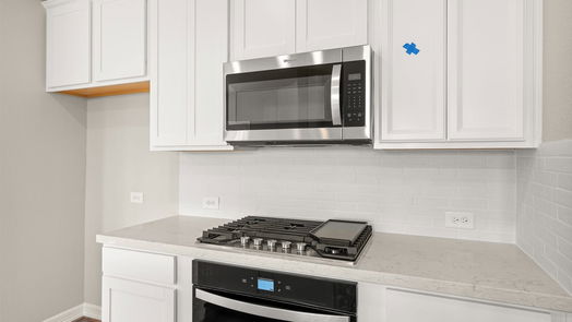 Spring 2-story, 4-bed 31603 Madrone Berry Court-idx