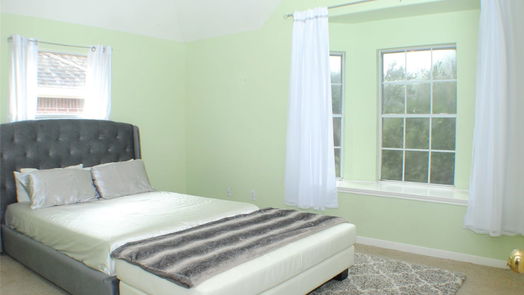 Sugar Land 2-story, 4-bed 2218 Vineyard Court-idx