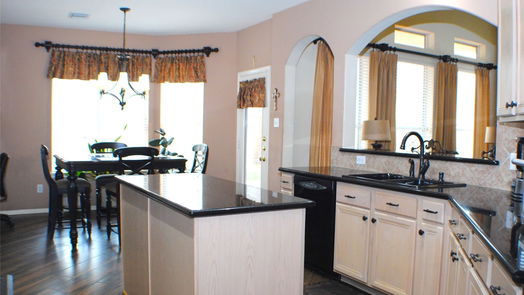 Sugar Land 2-story, 4-bed 2218 Vineyard Court-idx