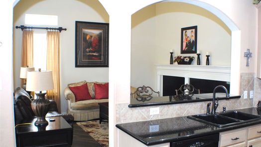 Sugar Land 2-story, 4-bed 2218 Vineyard Court-idx