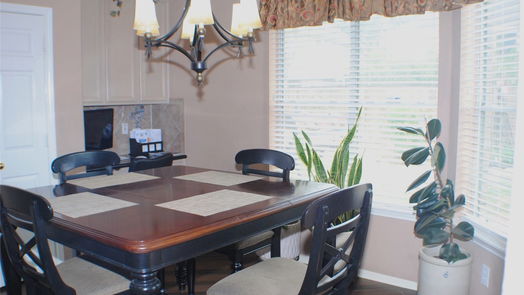 Sugar Land 2-story, 4-bed 2218 Vineyard Court-idx