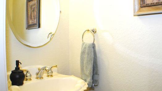 Sugar Land 2-story, 4-bed 2218 Vineyard Court-idx