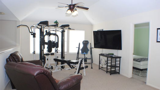 Sugar Land 2-story, 4-bed 2218 Vineyard Court-idx