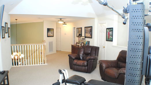 Sugar Land 2-story, 4-bed 2218 Vineyard Court-idx