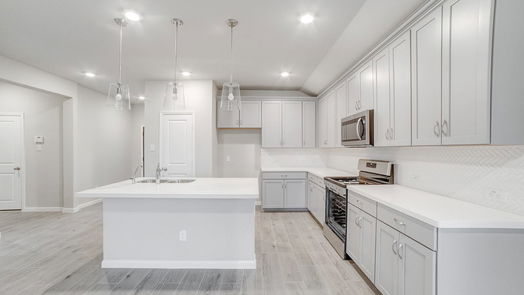 Crosby 1-story, 4-bed 1342 Bonnerjee Drive-idx