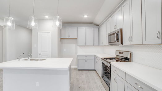 Crosby 1-story, 4-bed 1342 Bonnerjee Drive-idx