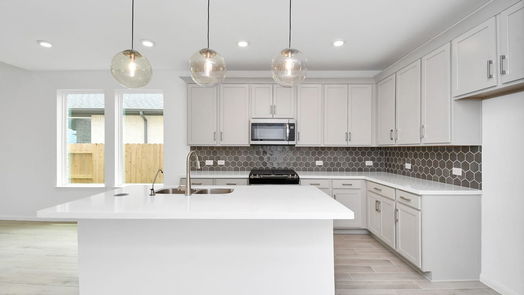 Houston 2-story, 4-bed 5622 Birchwood Glen Drive-idx