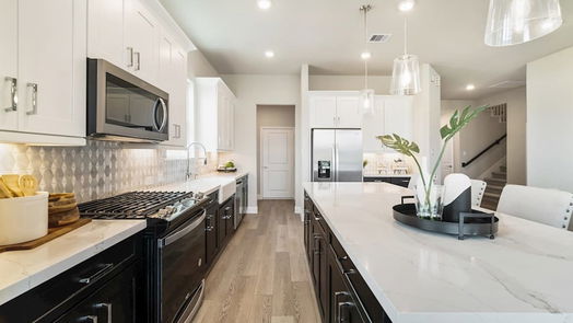 Katy 2-story, 4-bed 2207 Birch View Lane-idx