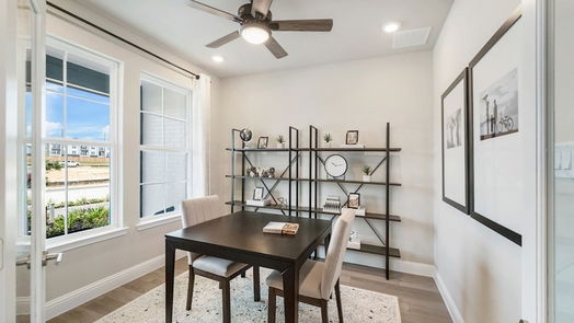 Katy 2-story, 4-bed 2207 Birch View Lane-idx