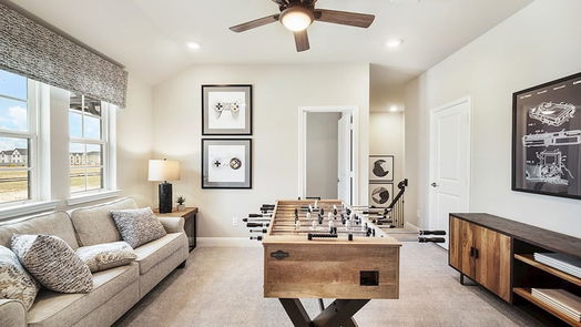 Katy 2-story, 4-bed 2207 Birch View Lane-idx