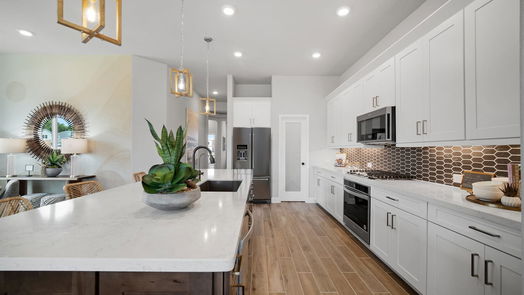 Katy 1-story, 3-bed 2315 Birch View Lane-idx