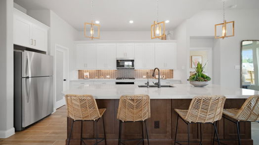 Katy 1-story, 3-bed 2315 Birch View Lane-idx
