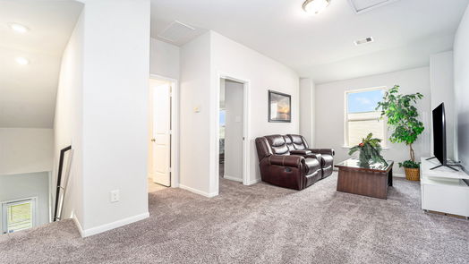 Katy 2-story, 4-bed 21418 Dalea Manor Drive-idx
