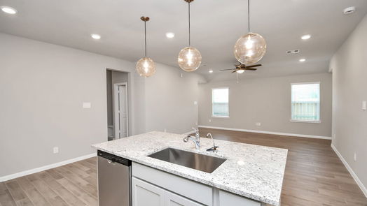 Tomball 1-story, 3-bed 21907 Oron Maple Way-idx