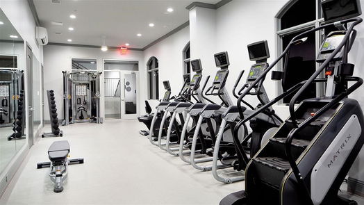 Tomball null-story, 4-bed 19450 Tobiano Park Drive-idx