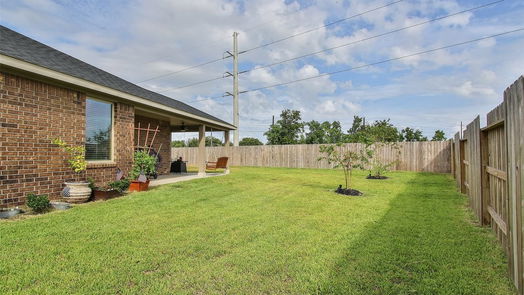 Tomball null-story, 4-bed 19450 Tobiano Park Drive-idx