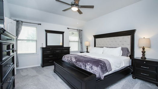 Tomball null-story, 4-bed 19450 Tobiano Park Drive-idx