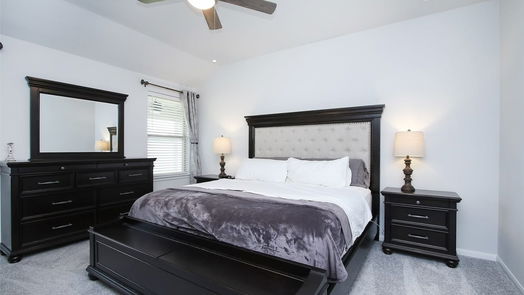 Tomball null-story, 4-bed 19450 Tobiano Park Drive-idx