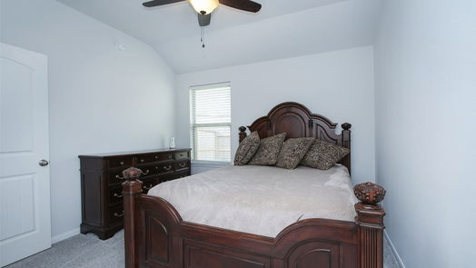 Tomball null-story, 4-bed 19450 Tobiano Park Drive-idx