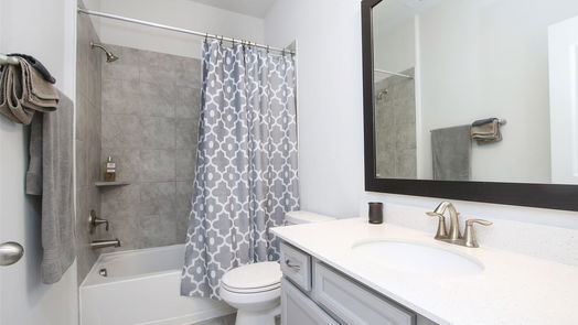 Tomball null-story, 4-bed 19450 Tobiano Park Drive-idx
