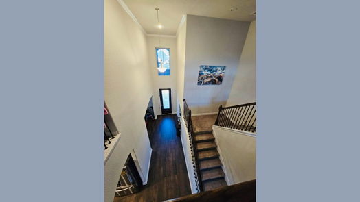 Houston 2-story, 5-bed 19003 Bene Vista Drive-idx