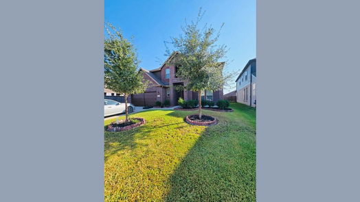 Houston 2-story, 5-bed 19003 Bene Vista Drive-idx