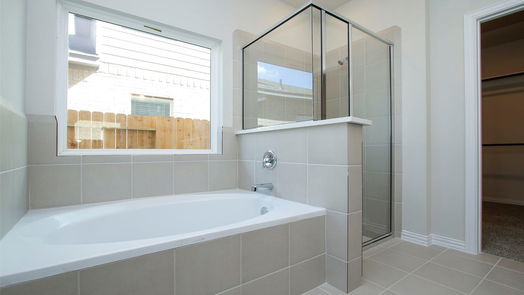 Hockley 2-story, 4-bed 22222 Delphin Grove Drive-idx