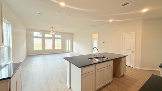 Hockley 2-story, 4-bed 22222 Delphin Grove Drive-idx