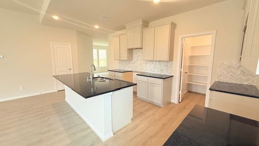 Hockley 2-story, 4-bed 22222 Delphin Grove Drive-idx