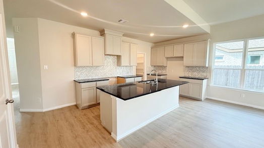 Hockley 2-story, 4-bed 22222 Delphin Grove Drive-idx