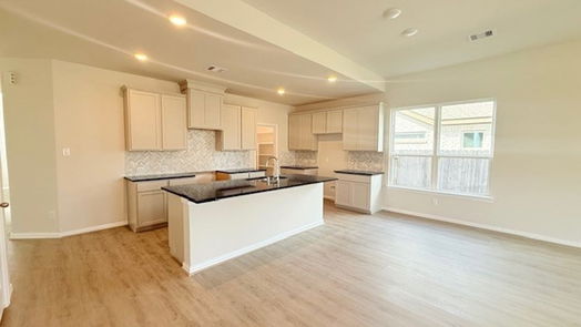 Hockley 2-story, 4-bed 22222 Delphin Grove Drive-idx
