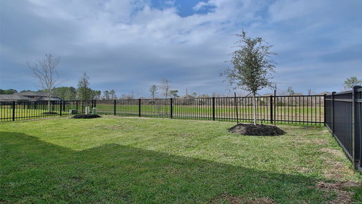 Houston 1-story, 3-bed 15023 Crown Manor Drive-idx