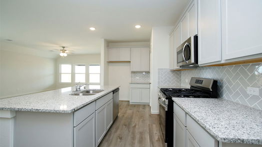 Magnolia 1-story, 4-bed 12726 Dina Springs Lane-idx